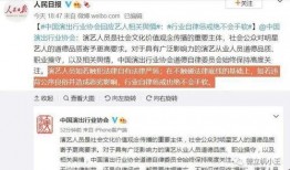 娱乐圈吃瓜作文素材,揭秘明星背后的“瓜”